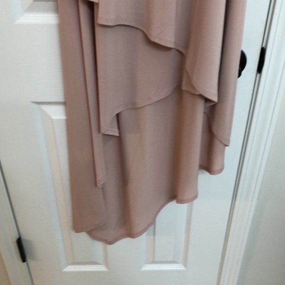 BCBGMAXAZRIA Blush Dress - Picture 3 of 8